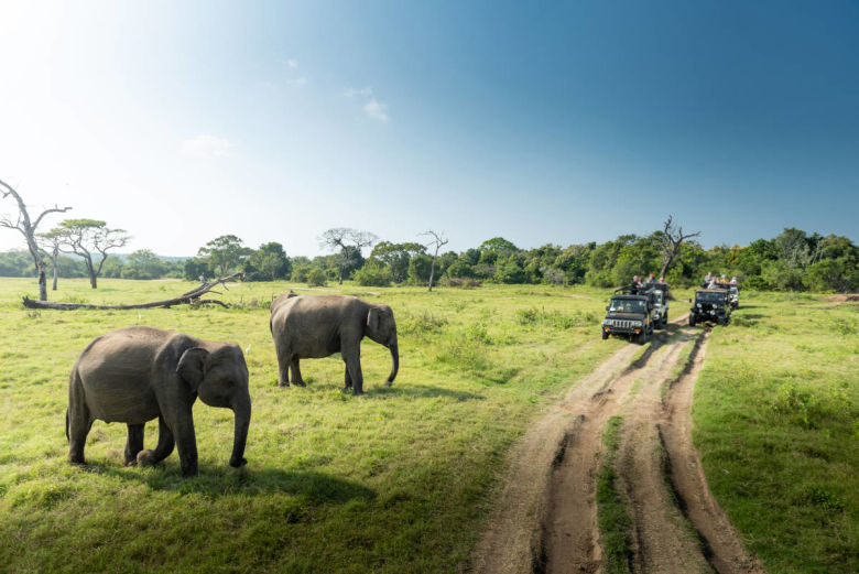 Kaudulla National Park